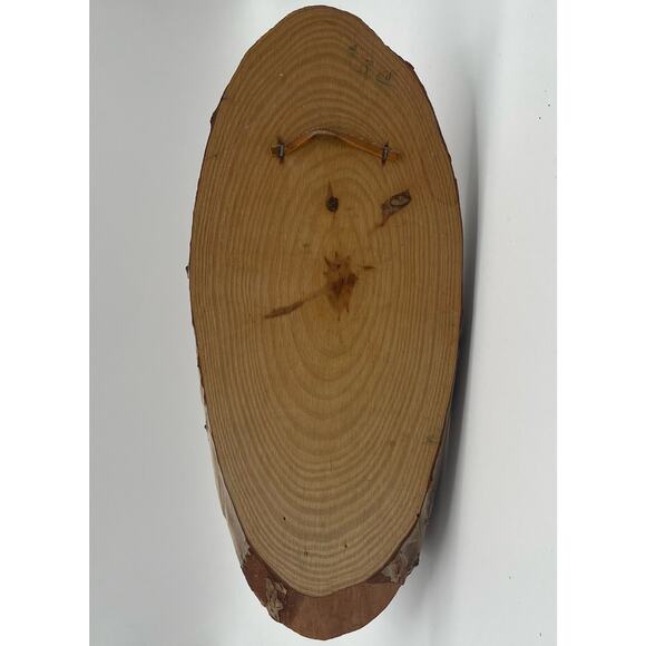 Great Smokey Mtns Wood Vine Planter from Forbidden Caverns Rustic Polished Wall - Picture 8 of 11